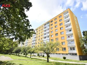 Pronájem bytu 1+1, Hradec Králové - Nový Hradec Králové, Mandysova, 32 m2