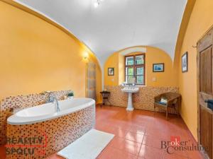 Prodej rodinného domu, Litíč - Nouzov, 620 m2