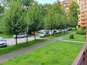 Pronájem bytu 1+kk, Ostrava, Podroužkova, 22 m2