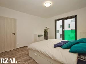 Prodej bytu 2+kk, Plzeň, Papírnická, 60 m2