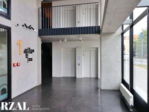 Prodej bytu 2+kk, Plzeň, Papírnická, 60 m2