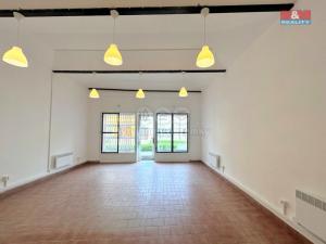 Pronájem obchodního prostoru, Libochovice, Purkyňova, 66 m2