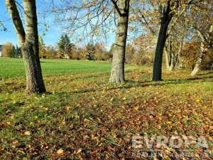 Prodej pozemku pro bydlení, Okrouhlo, 900 m2