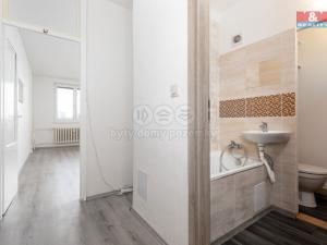 Prodej bytu 1+kk, Ostrava - Moravská Ostrava, U Parku, 25 m2