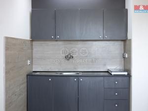 Prodej bytu 1+kk, Ostrava - Moravská Ostrava, U Parku, 25 m2