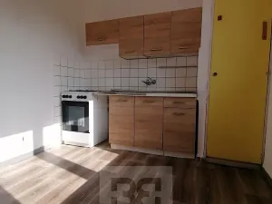 Pronájem bytu 1+1, Ostrava, Stadická, 40 m2