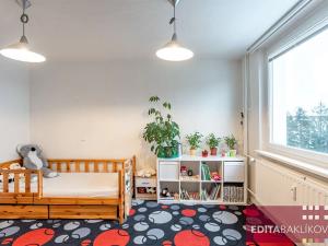 Pronájem bytu 3+1, Olomouc, Kmochova, 72 m2