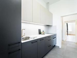 Pronájem bytu 1+1, Praha - Žižkov, Jeronýmova, 45 m2