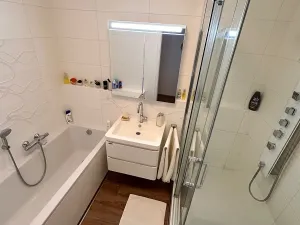 Pronájem bytu 2+kk, Brno, Musilova, 79 m2