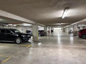 Pronájem bytu 2+kk, Brno, Musilova, 79 m2
