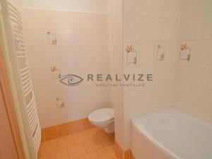 Pronájem bytu 2+kk, České Budějovice, Žižkova tř., 49 m2