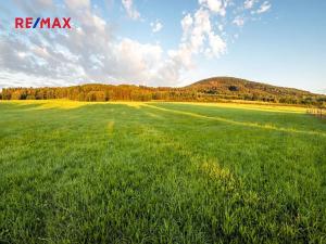 Prodej zemědělské usedlosti, Jablonné v Podještědí, 1000 m2