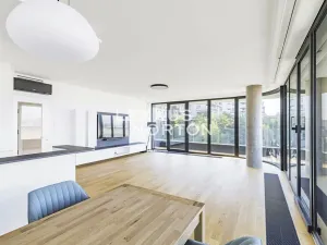 Pronájem bytu 3+kk, Praha - Vinohrady, Dudova, 97 m2