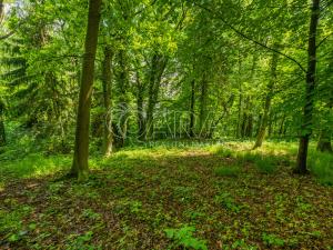 Prodej pozemku pro bydlení, Hrubá Skála, 5519 m2