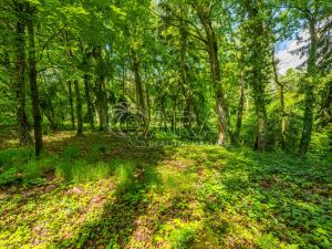 Prodej pozemku pro bydlení, Hrubá Skála, 5519 m2