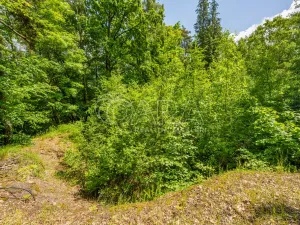 Prodej pozemku pro bydlení, Hrubá Skála, 5519 m2