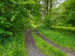 Prodej pozemku pro bydlení, Hrubá Skála, 5519 m2