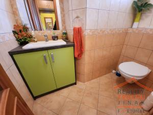Prodej rodinného domu, Skalice - Skalička, 261 m2