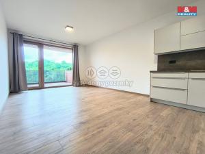 Pronájem bytu 1+kk, Slaný, Lázeňská, 35 m2