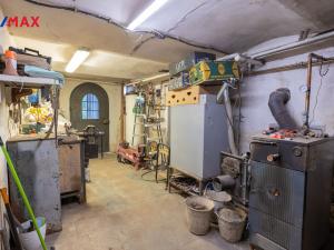 Prodej rodinného domu, Mladé Buky - Kalná Voda, 170 m2