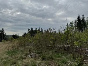 Prodej lesa, Dehtáře, 34777 m2