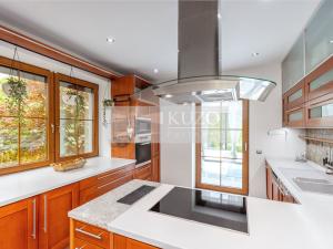 Prodej rodinného domu, Mladá Boleslav - Čejetice, Nová, 302 m2