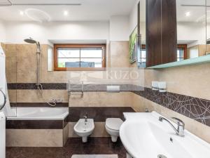 Prodej rodinného domu, Mladá Boleslav - Čejetice, Nová, 302 m2