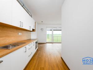 Pronájem bytu 3+kk, Plzeň - Skvrňany, Františka Kováříka, 66 m2