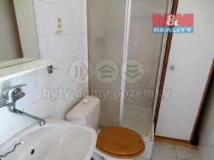 Pronájem bytu 2+kk, Plzeň - Jižní Předměstí, Mánesova, 29 m2