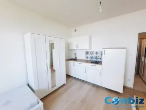Pronájem bytu 1+kk, Plzeň, Technická, 29 m2
