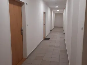 Pronájem bytu 1+kk, Plzeň, Technická, 29 m2