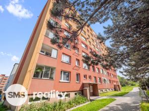 Prodej bytu 3+1, Hranice - Hranice I-Město, Nová, 68 m2