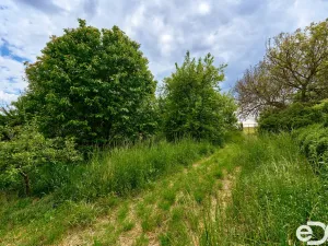 Prodej rodinného domu, Chudčice, 320 m2