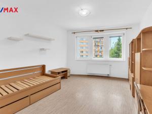 Prodej bytu 1+kk, Hradec Králové - Moravské Předměstí, Štefánikova, 34 m2