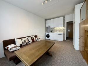 Pronájem bytu 1+kk, Plzeň, Lábkova, 22 m2