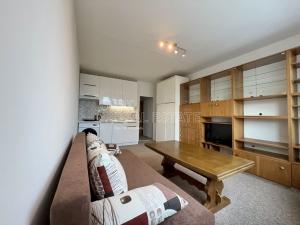 Pronájem bytu 1+kk, Plzeň, Lábkova, 22 m2