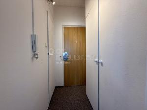 Pronájem bytu 1+kk, Plzeň, Lábkova, 22 m2