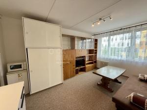 Pronájem bytu 1+kk, Plzeň, Lábkova, 22 m2