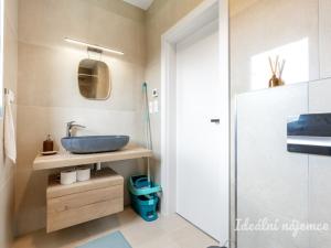 Pronájem bytu 5+kk, Březí, V Jezírku, 140 m2