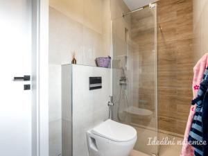 Pronájem bytu 5+kk, Březí, V Jezírku, 140 m2