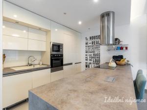 Pronájem bytu 5+kk, Březí, V Jezírku, 140 m2