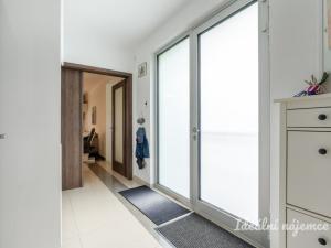 Pronájem bytu 5+kk, Březí, V Jezírku, 140 m2