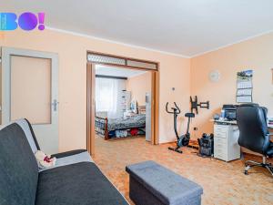 Prodej rodinného domu, Hanušovice, Jesenická, 185 m2