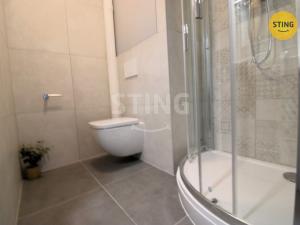 Pronájem bytu 1+1, Zlín, Díly IV, 29 m2