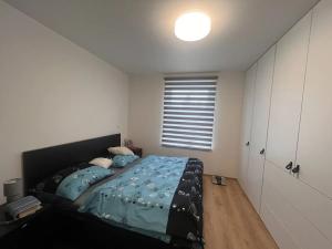 Pronájem bytu 4+kk, Liberec, Boženy Němcové, 98 m2