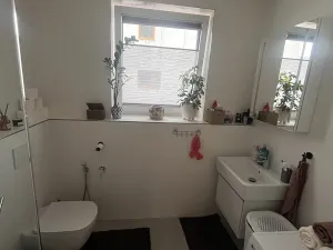 Pronájem bytu 4+kk, Liberec, Boženy Němcové, 98 m2