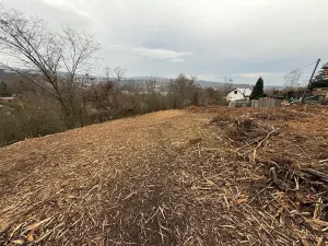 Prodej chaty, Brno, 28 m2