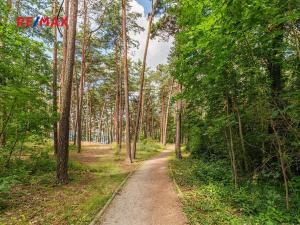 Pronájem bytu 2+kk, Plzeň, 28. října, 47 m2