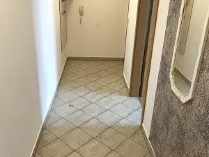 Pronájem bytu 3+kk, Plzeň, Studentská, 83 m2