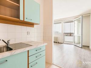 Pronájem bytu 2+kk, Brno, Ukrajinská, 48 m2